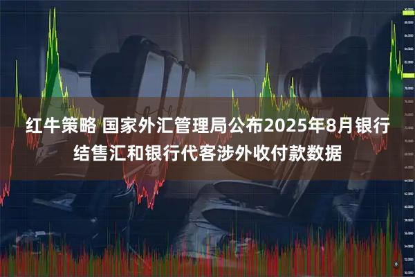 红牛策略 国家外汇管理局公布2025年8月银行结售汇和银行代客涉外收付款数据