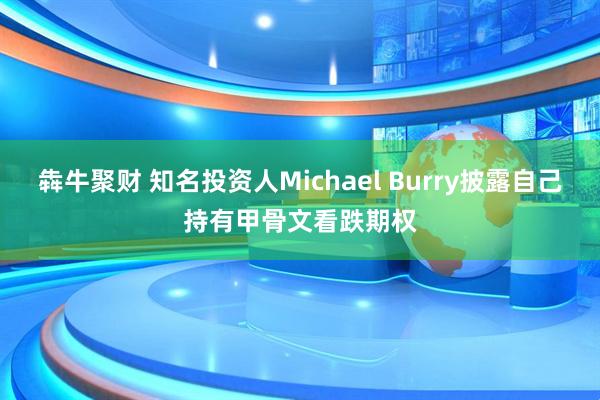 犇牛聚财 知名投资人Michael Burry披露自己持有甲骨文看跌期权